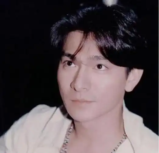 刘德华,这位华语娱乐圈的巨星,在影坛和乐坛都有着极高的成就和地位.