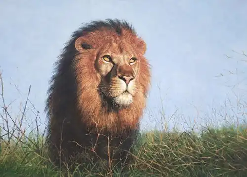 曹玉平油画作品欣赏