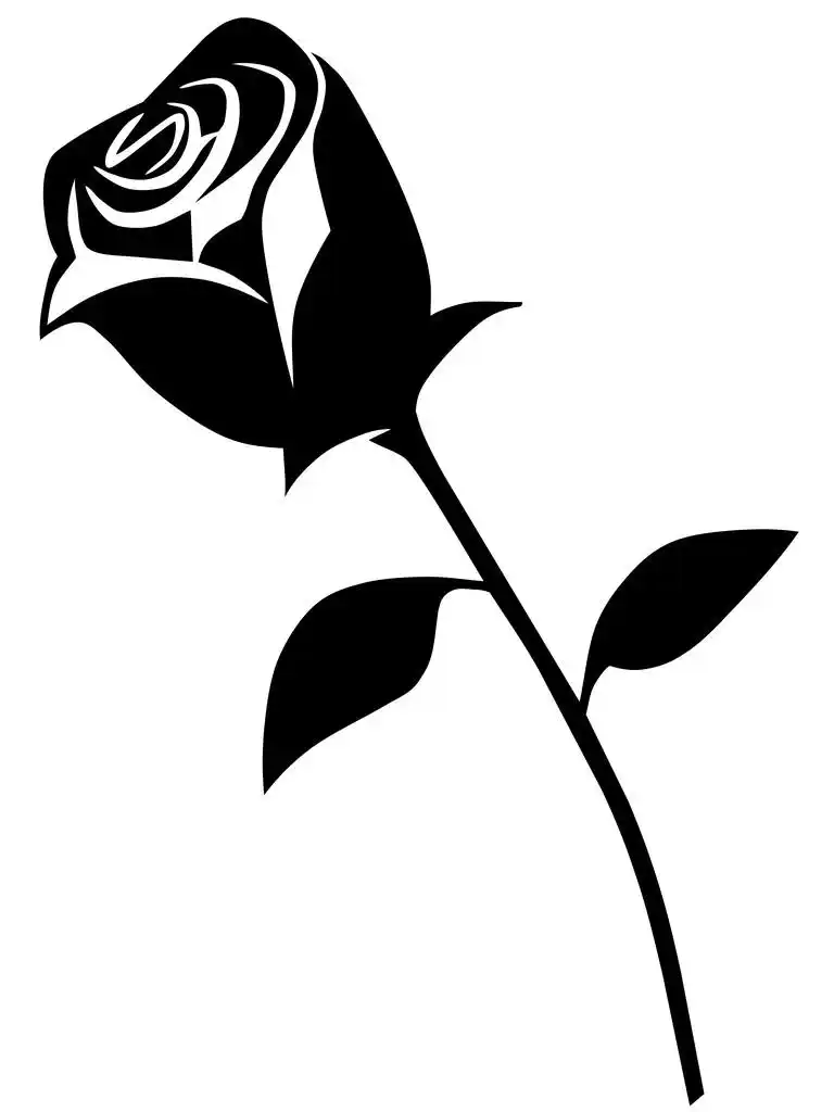 玫瑰,美丽的玫瑰公平复制背景的剪影.