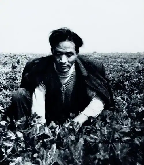 焦裕禄去世两年后迁坟兰考,十万百姓车站哭迎,下葬时妻撞向棺木