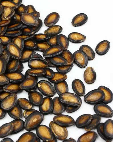 果王小子 贺年特级黑瓜子460g(罐装)