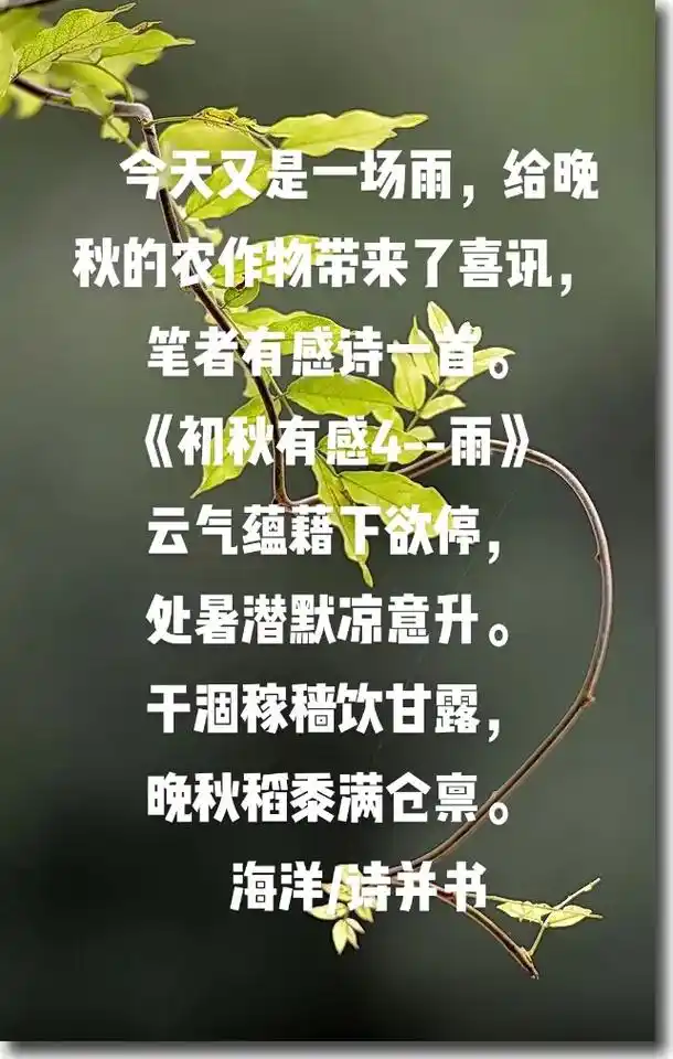 秋雨#原创书法作品 #原创诗词  - 抖音