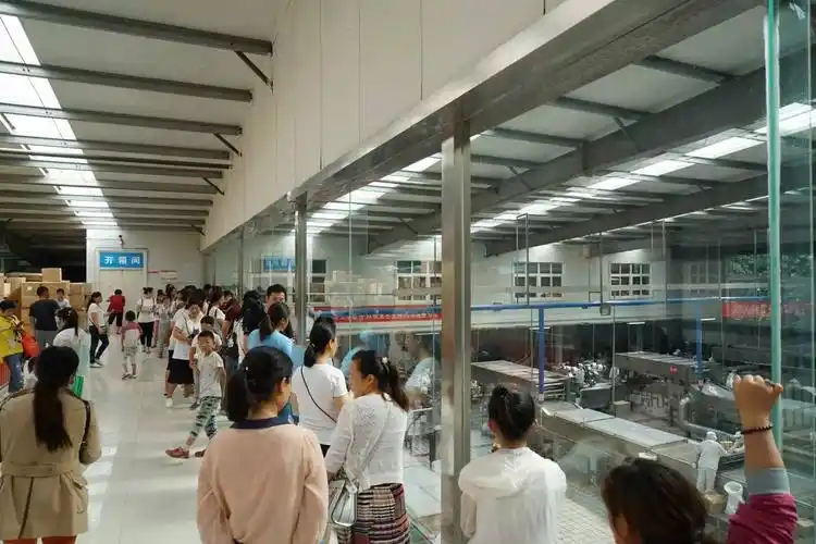 精彩回顾小记者探秘雪汇工厂了解雪糕的制作过程