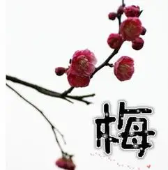 梅字微信头像图片大全 - 搜狗图片搜索