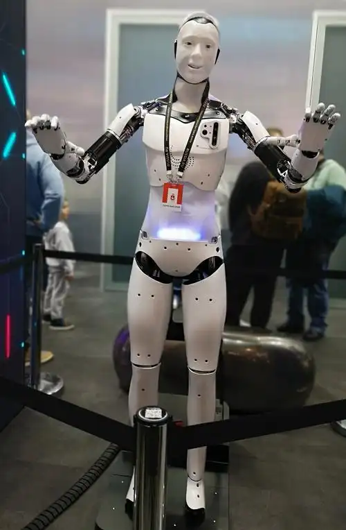 图片新闻|彼尔姆机器人