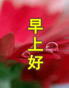 微信最新早上好问候语动态图片表情 最美早上好问候祝福动态表情图片