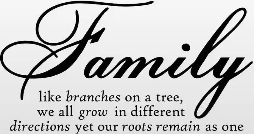 family纹身family英文字体设计 _ 字 书法 文身 艺术 武汉铁木针刺青