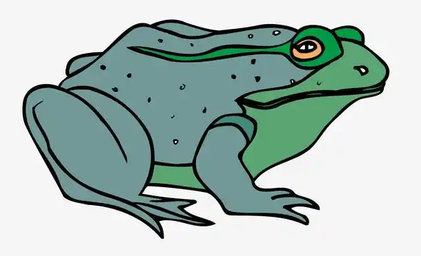矢量青蛙蟾蜍素材