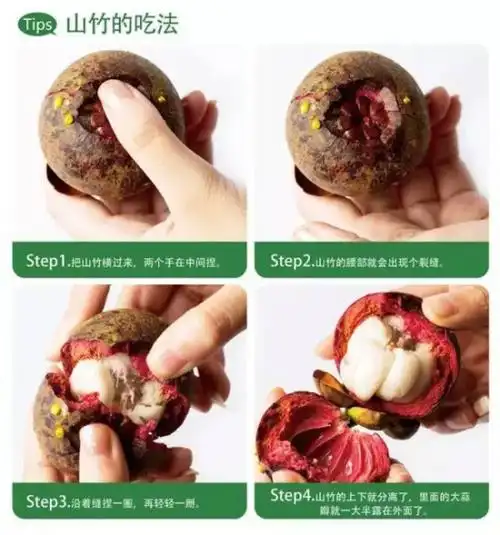 野山竹根的功效与作用山竹根可以治疗腰痛吗