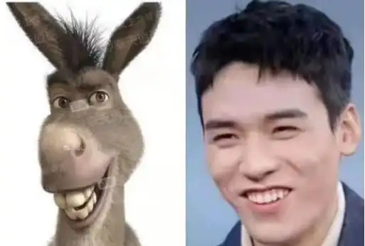 马嚼草是哪个明星的黑称,马嚼草什么意思梗 - 什么梗