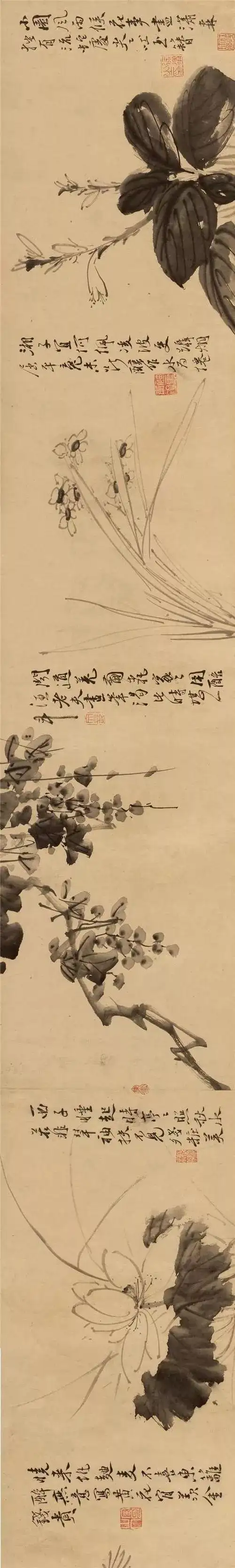 徐渭花卉寥寥数笔唱绝古今