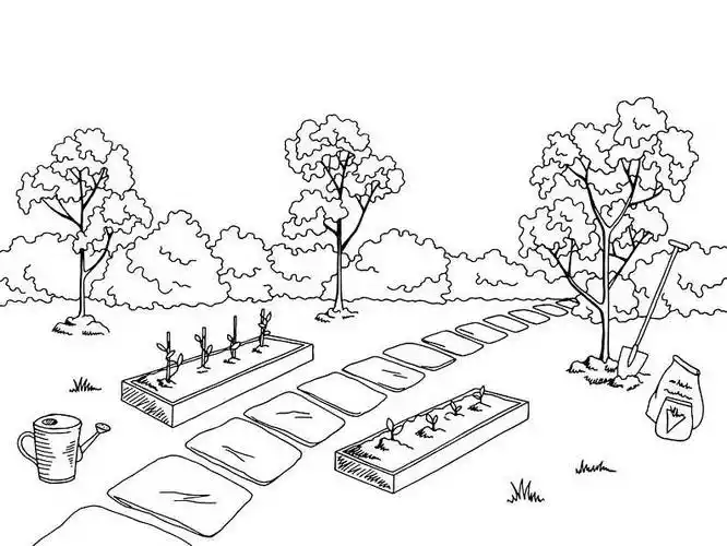 菜园图片_菜园高清图片_全景视觉