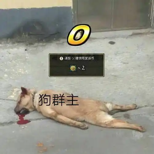 狗群主已死_已死_群主表情 - 发表情 - fabiaoqing.com