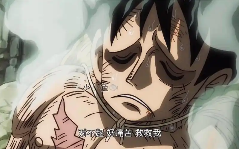 路飞濒死仍旧受不到大家信任