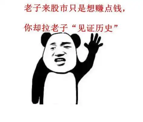 炒股只想赚点钱你却拉我见证历史散户眼中的至暗时刻