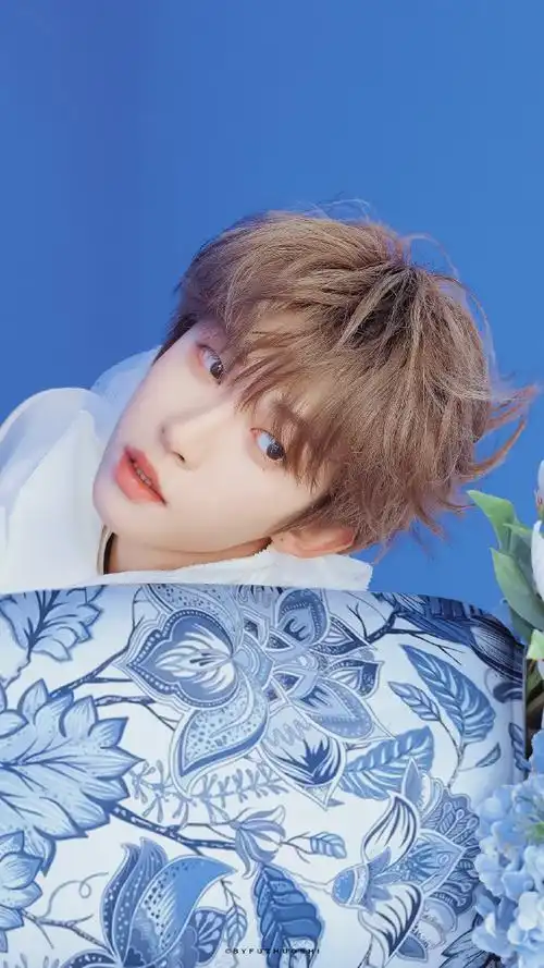 刘宇青花瓷小花仙##gq出图