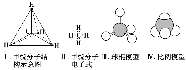 (2014·广东河源高一检测)下列各图均能表示甲烷的分子结构,哪一