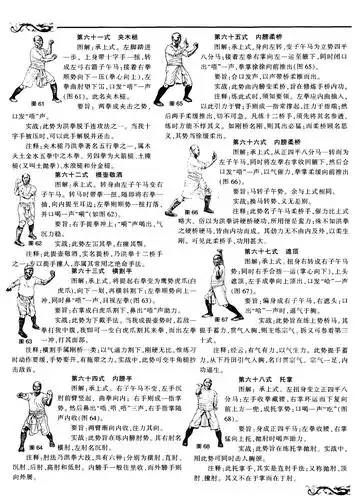 洪家铁线拳