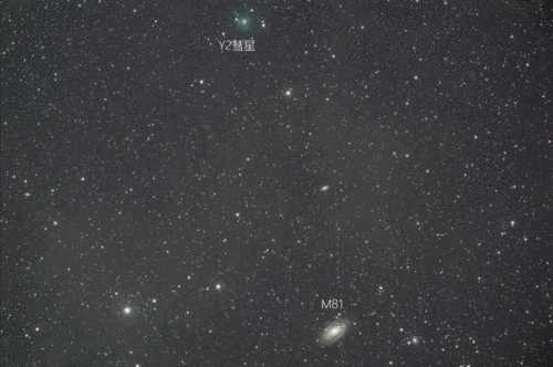 c/2019 y4 彗星动图