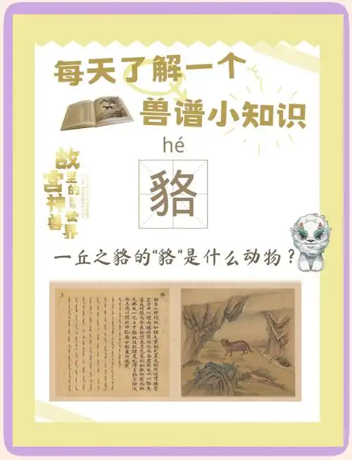 🐼一丘之"貉"的兽谱小知识📚