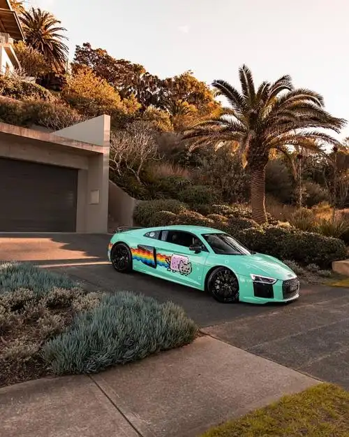 蒂芙尼蓝的奥迪r8涂装猫猫真可爱