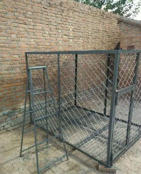 转让全新狗笼子不讲价