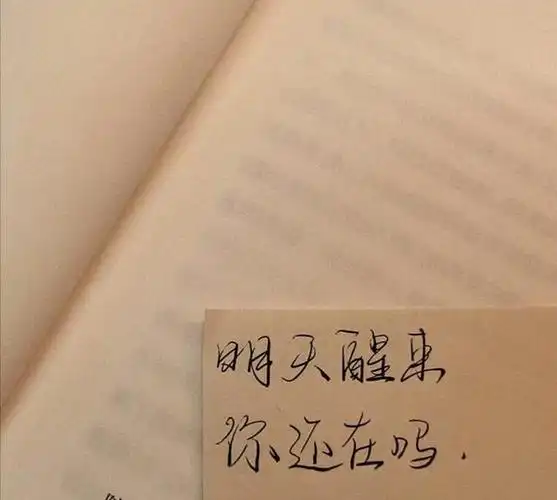 文案图片温柔干净背景图治愈系文案