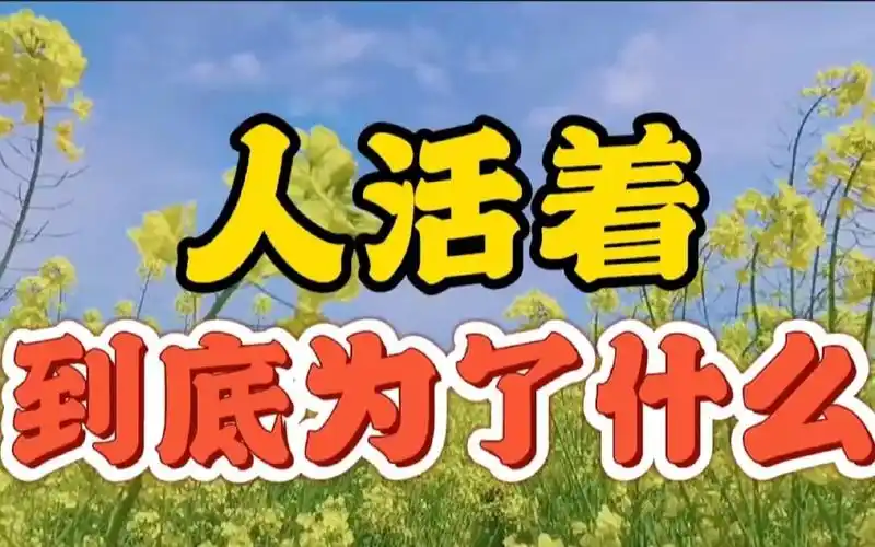 人活着到底为了什么?这是我听过,关于活着的最好的答案!