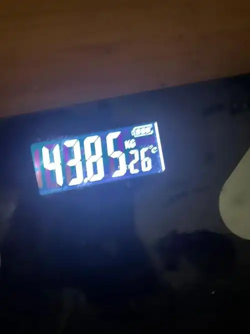 90斤到80,第十三天,43.8kg