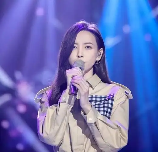 于文文演唱会私处轮廓显现!注意力被带偏?穿搭惹众议!