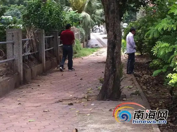 海口不文明市民随地大小便绿化带成公厕