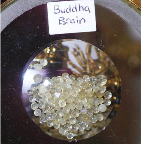 世上真有舍利子吗?