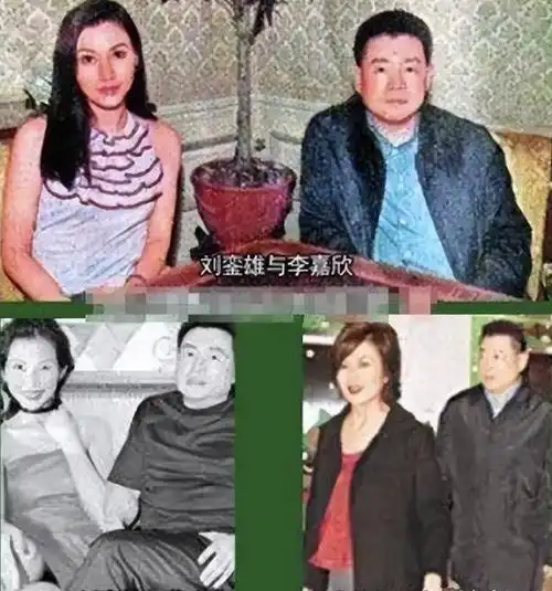 与刘銮雄纠缠10年,却嫁给许晋亨,李嘉欣的执念和底线都离不开钱