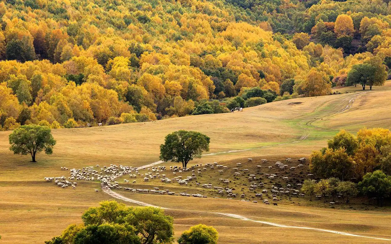 坝上草原清新自然风景桌面壁纸