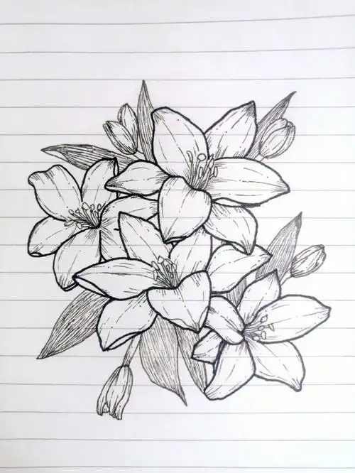 作者@檬惜诺#临摹 #花卉 #简笔画 #百合  #教程