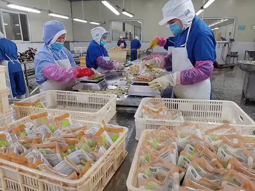 扶贫车间里忙碌的农产品加工流水线.沈仁标 摄