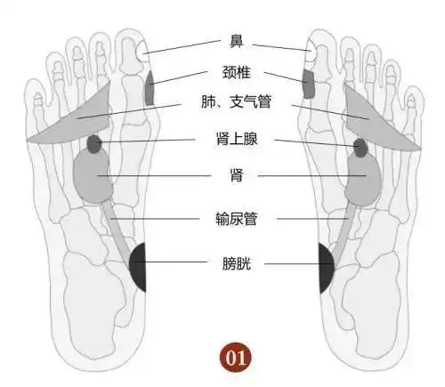 低头摸脚,百病治好,很多病在脚上都有开关,只是你不知道!