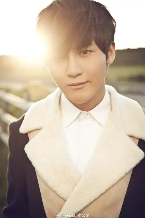 如果你眼睛没瞎就别从别人口中认识李炜