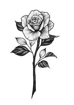 玫瑰纹身手稿