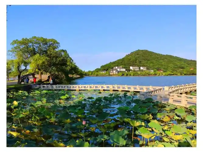 嘉兴南北湖的美景