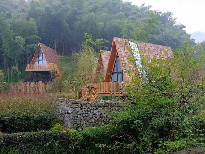 竹海里面的小木屋民宿,太有北欧风了