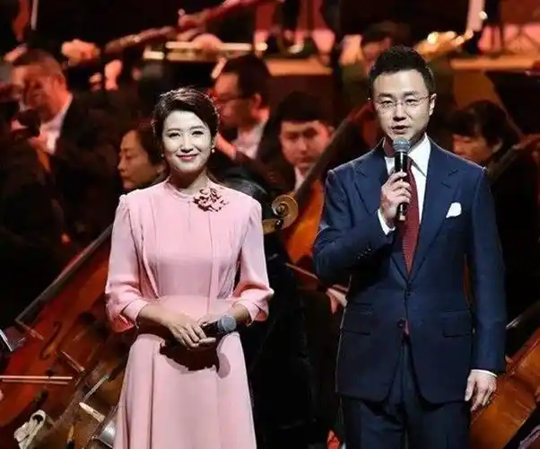 央视名嘴刚强娶2婚北京卫视一姐春妮丁克17年得爱子
