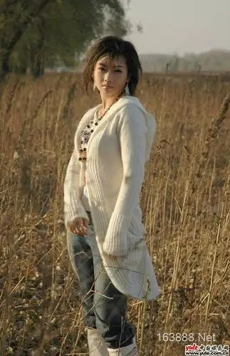 网络歌手陈瑞演出代言