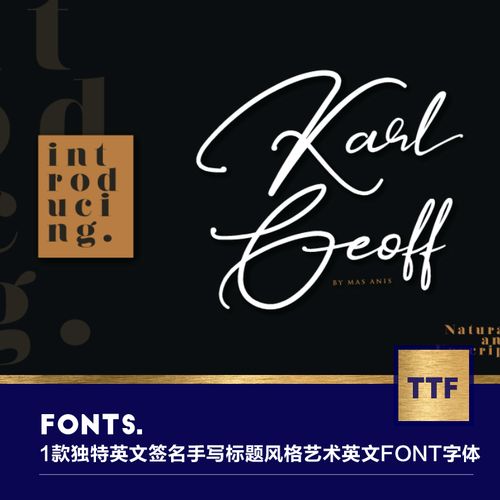 1款优雅知性手写艺术英文海报信纸签名手写标题font字体