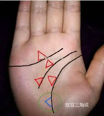因为当三角纹位于坎宫,不仅不会有财运,还是倒大霉的凶兆,轻则不烙谮