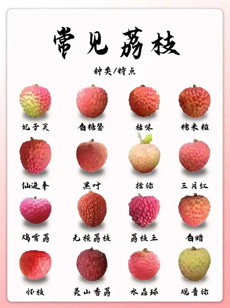 今天给大家介绍常见荔枝种类和成熟期#dou #抖音小助手 - 抖音