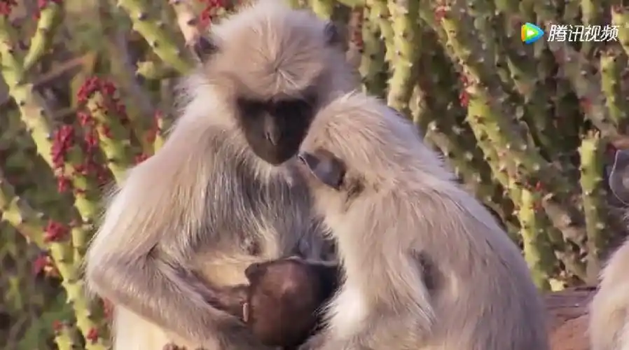 《生命之旅》感想