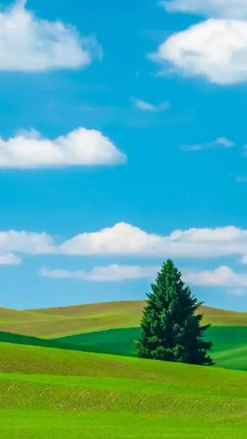 蓝天白云长相依,高清图片,手机锁屏桌面-壁纸族