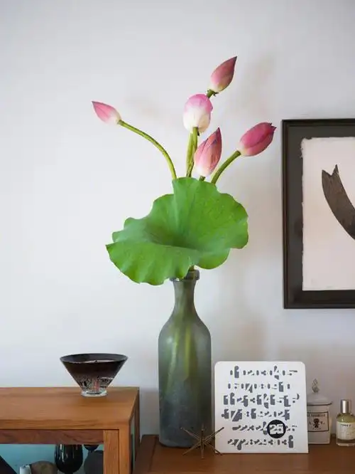 荷花插花作品竟然如此美丽花艺