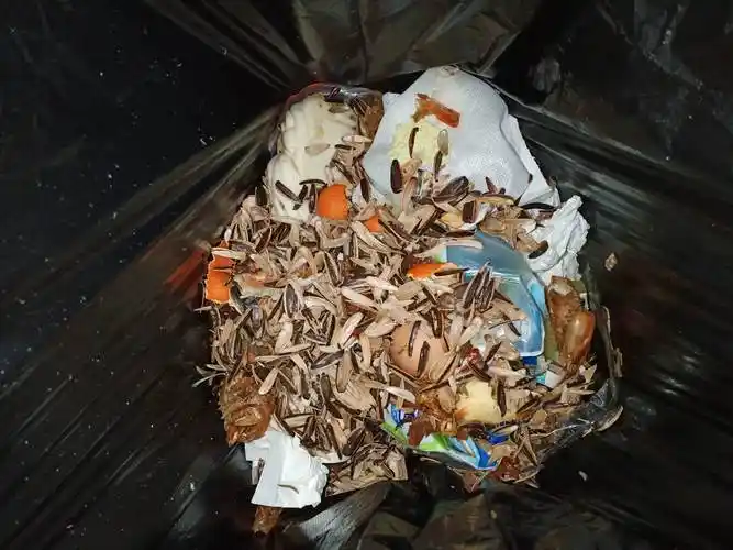 6层 湿垃圾桶中有干垃圾